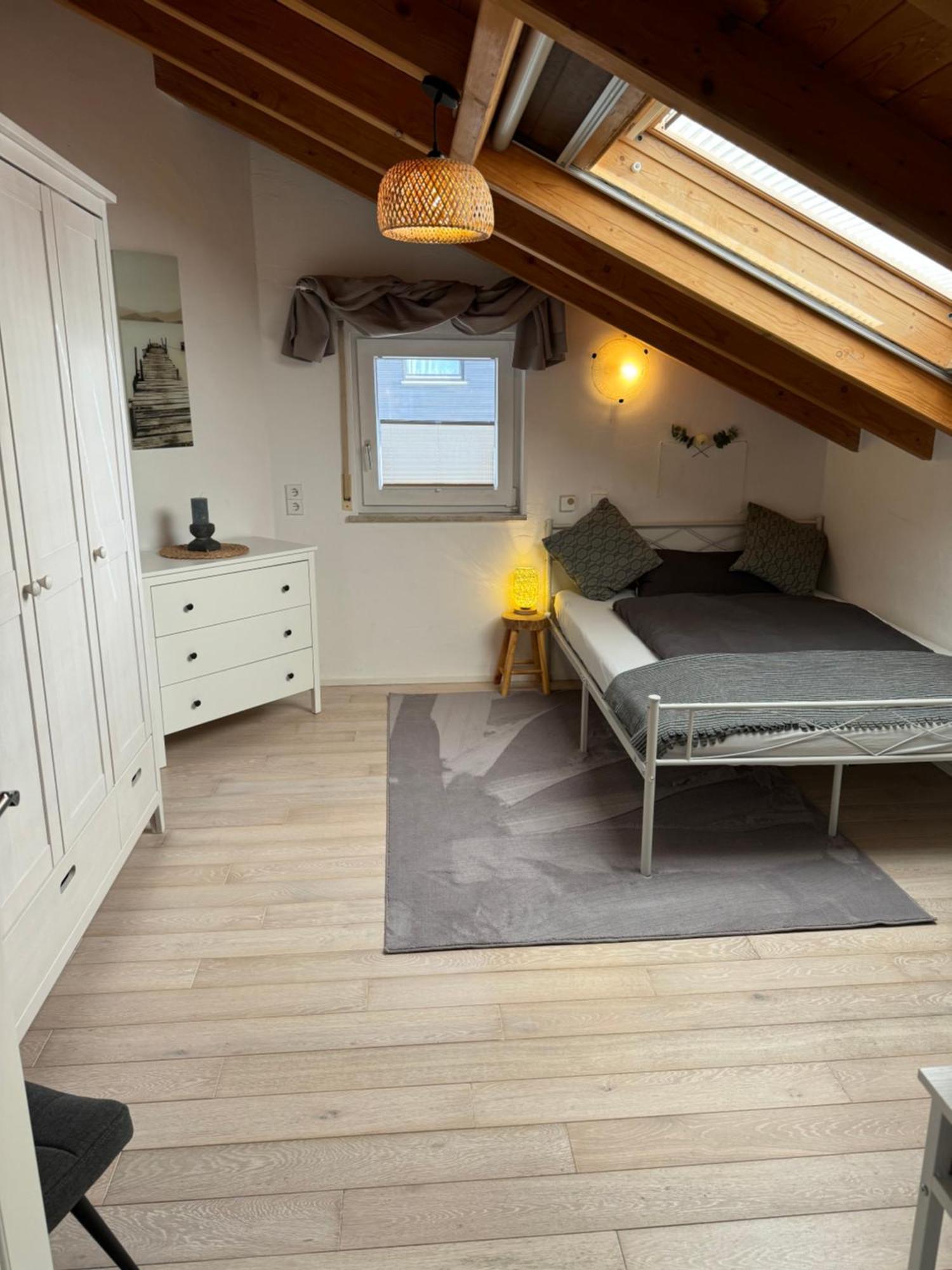 Spacy 3 Bedroom Plus Sleeping Couch Apartment Work&Travel Close To Heidelberg Dielheim Luaran gambar